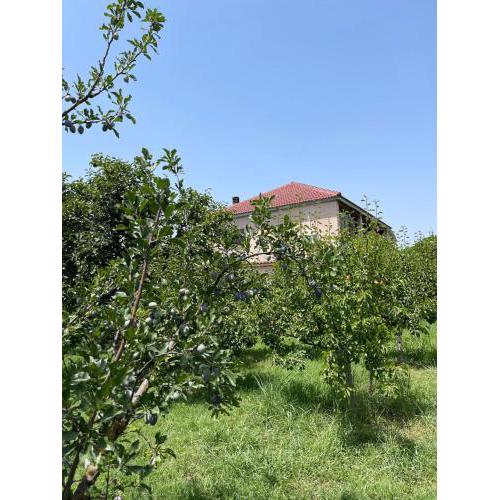 Villa Mance