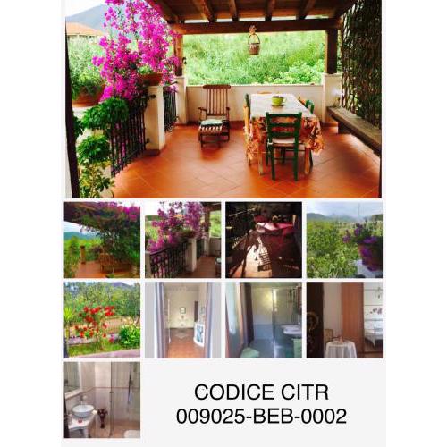 Villa Marco Aurelio