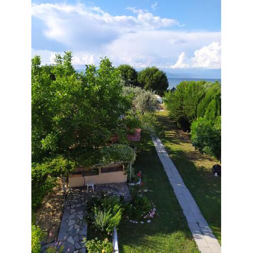 Villa Maria - Ground floor