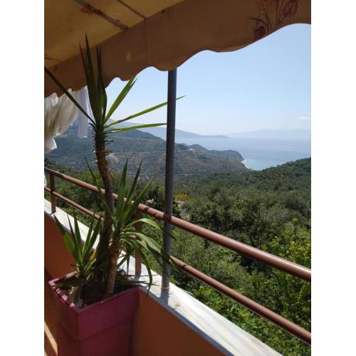 Villa Maria Luxury Apartments ''Bunec-Piqeras''!