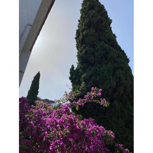Villa Marie Claire