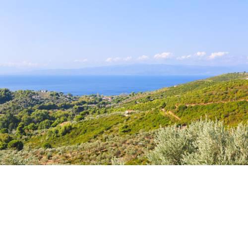 Villa Marigo