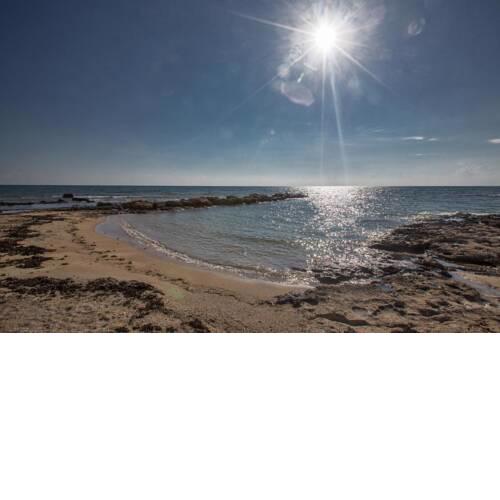 Villa Mermaid 14