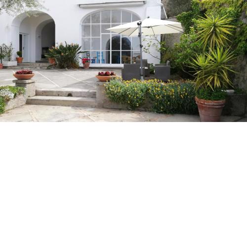 Villa Morgan