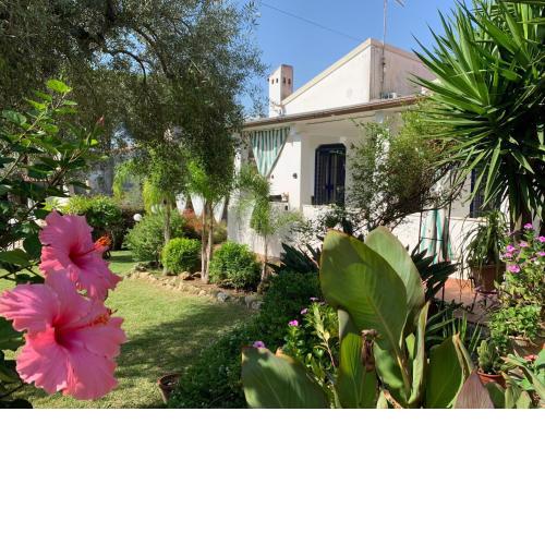 Villa Musa Fontane Bianche