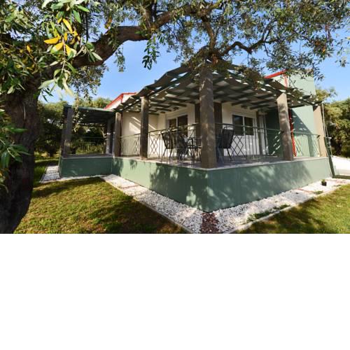 Villa Niki - Estate Elaeda