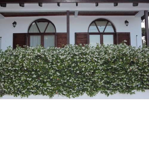 Villa Oasis with Private Jacuzzi (Ozon) 80m from the Beach