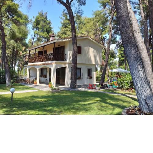 Villa of traditional architecture