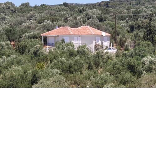 Villa Oilivia
