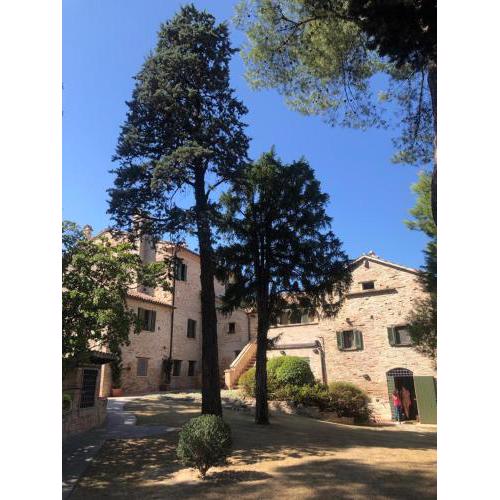 VILLA OLIVA