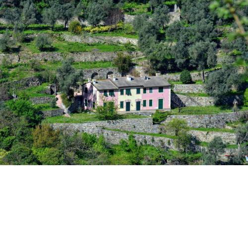 Villa Olivari - apt la Lavanda