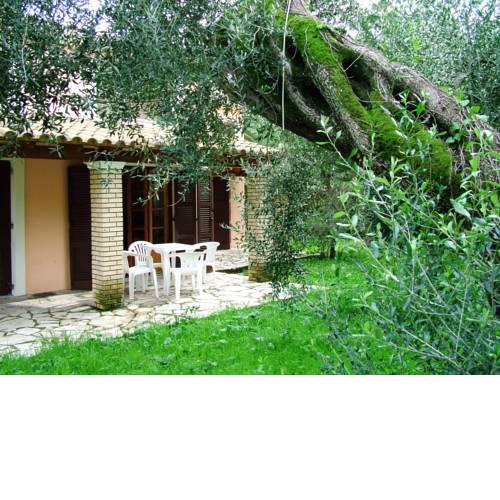 Villa Olive apartments