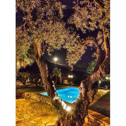 Villa Olive