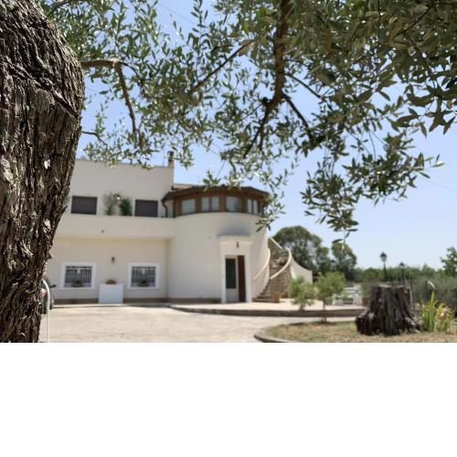 Villa Ombrosa - Pleasant house in Valle d'Itria