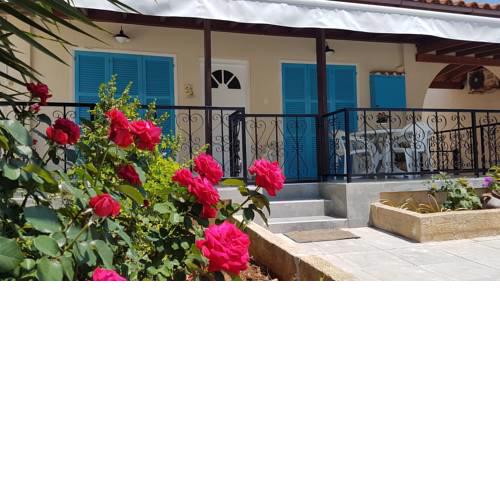Villa ONE Paphos Holiday