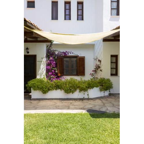 Villa Orange Lillies
