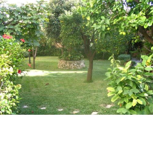 villa Palma