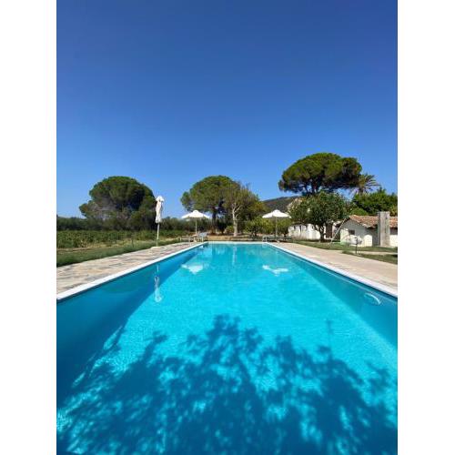 Villa Pigna