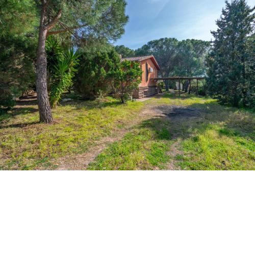 Villa Pini 1 km da Chia . 3 camere . BBQ . A/C
