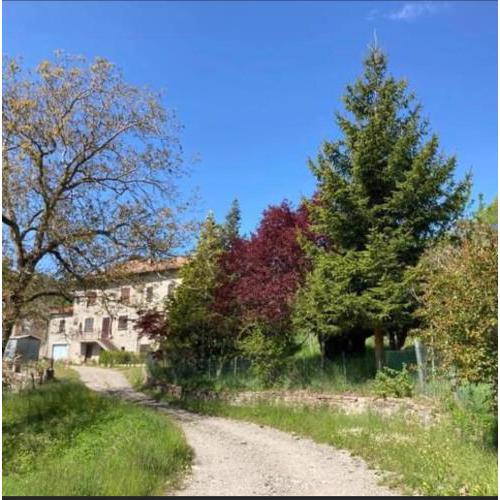 villa Romei