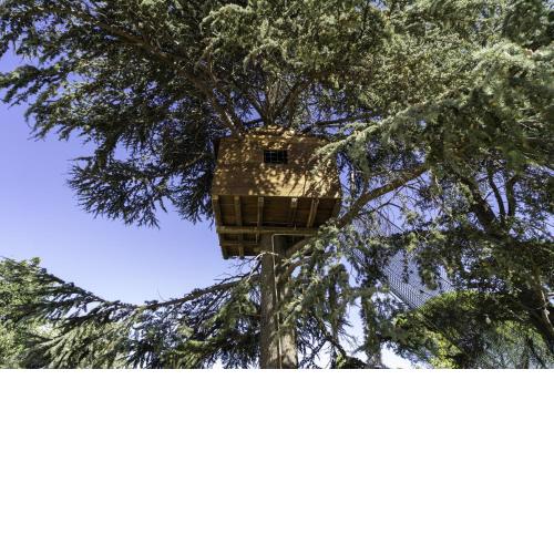 Villa Romeo with tree house