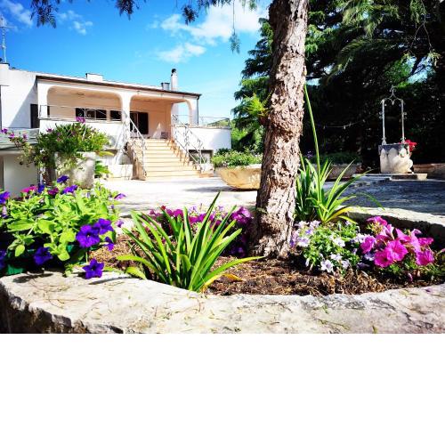 Villa Rosa