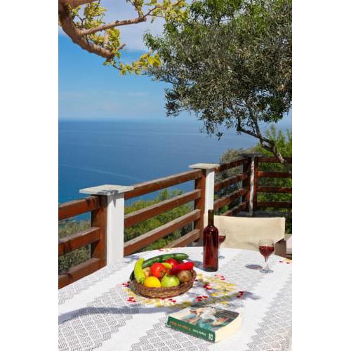 Villa Rose