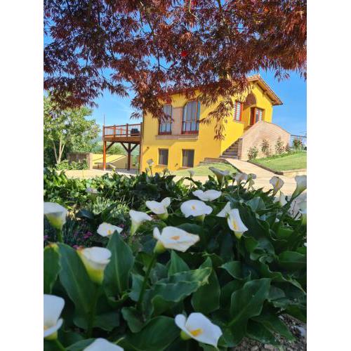 Villa Scarialetto nel cuore verde di Monte Cucco