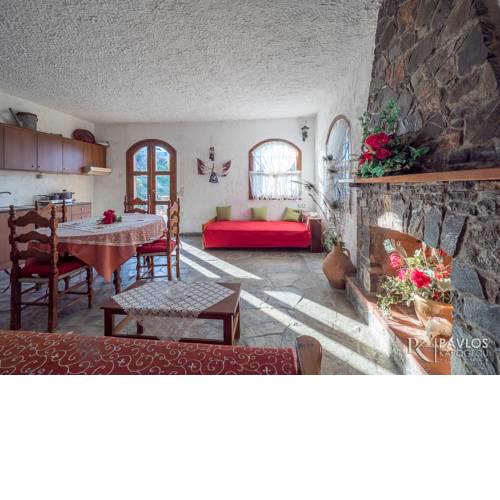 Villa Sopasina - Traditional apartment