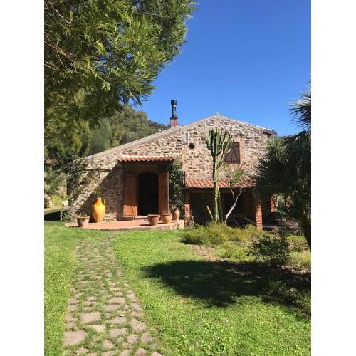 Villa Storica tra gli ulivi - vista mare