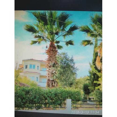 Villa Sunshine