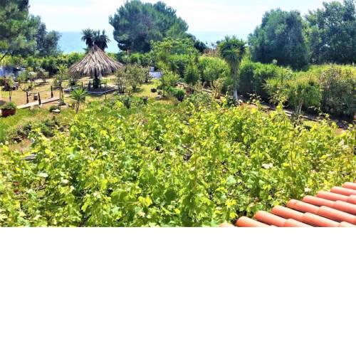 VILLA TATIANA - TETRAKTYS