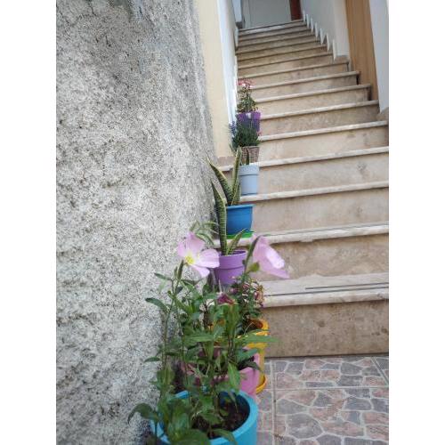 Villa Vasili