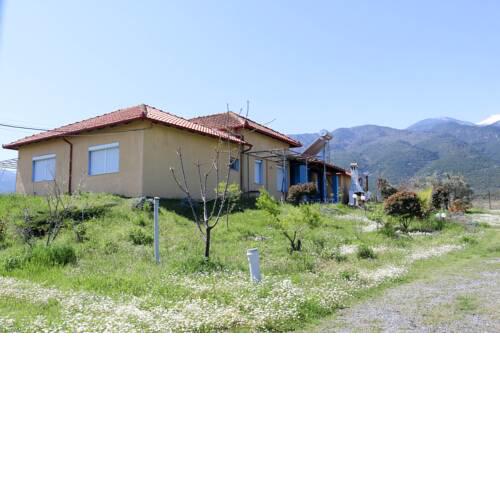 Villa Zerva