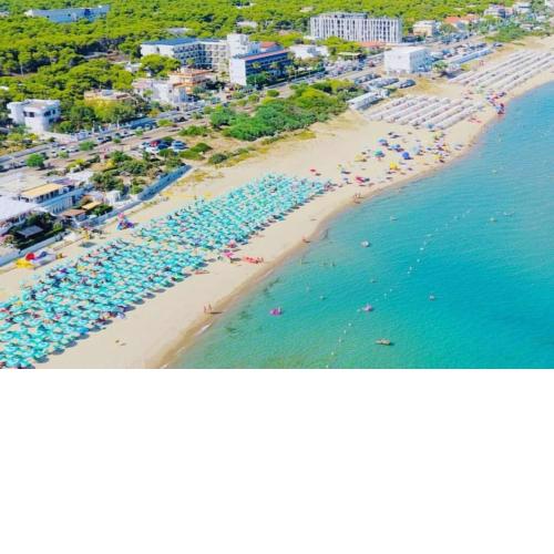 VILLA ZOND - a pochi passi dal mare bandiera blu