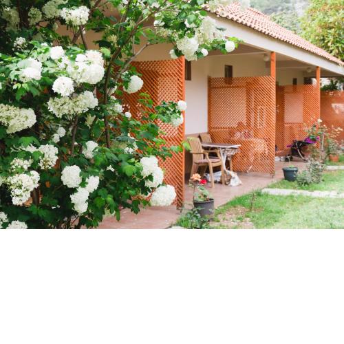 Village Garden Pansiyon
