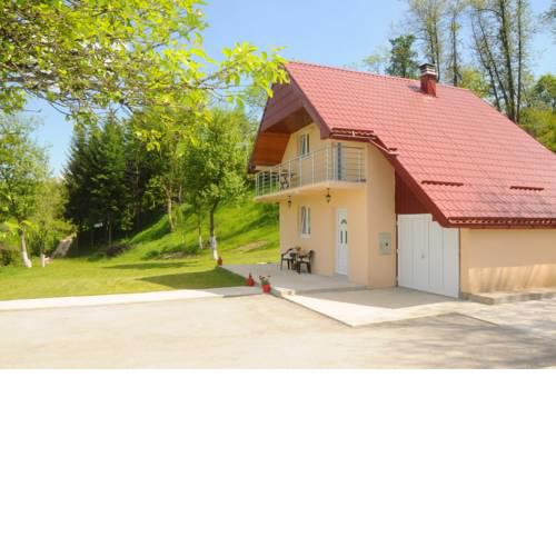 VILLAGE HOUSE ALEKSIĆ
