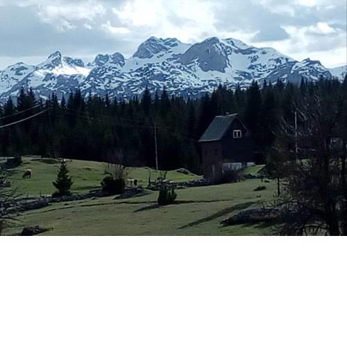 Village house Popovic