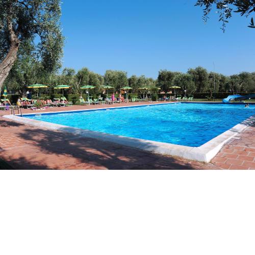 Villaggio Turistico Camping Parco Degli Ulivi