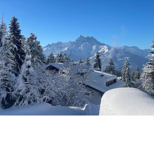 Villars Alpine Heaven - Ski In
