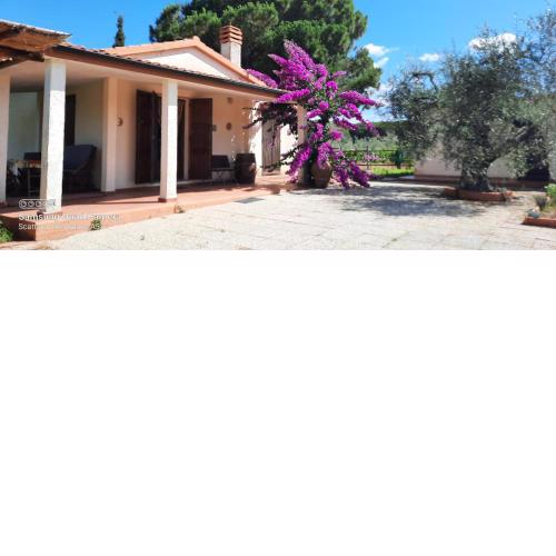 Villetta Bruna completamente indipendente con giardino