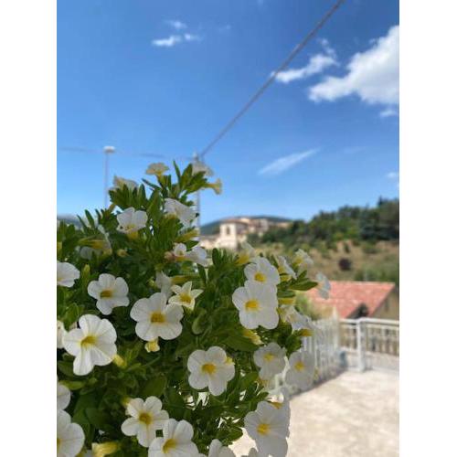 Villetta con terrazza a pochi passi dal centro