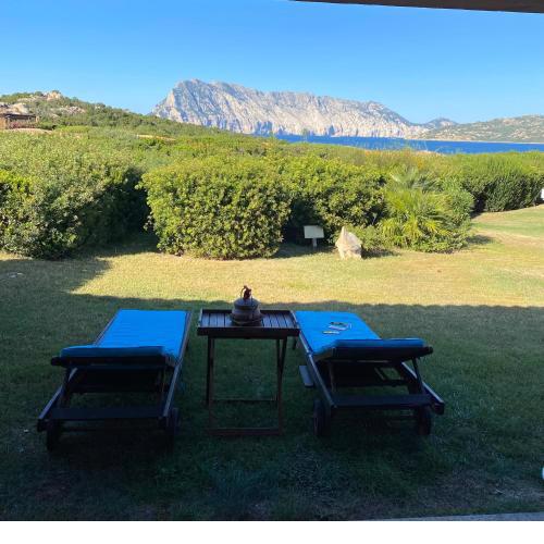 villino D5 coda cavallo villaggio cala paradiso