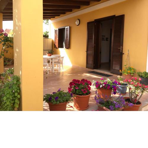villino flores