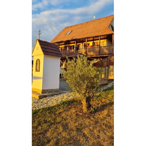 Vinárstvo u Kohúta
