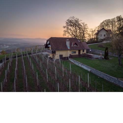 Vineyard cottage Hočevar