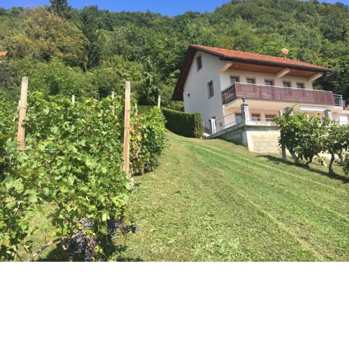 vineyard cottage Marjetka