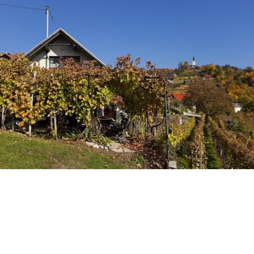 Vineyard Cottage Vercek