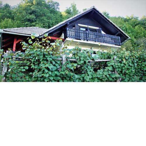 Vineyard Cottage Zajc