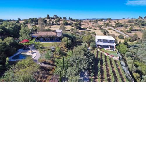 Vineyard Villa